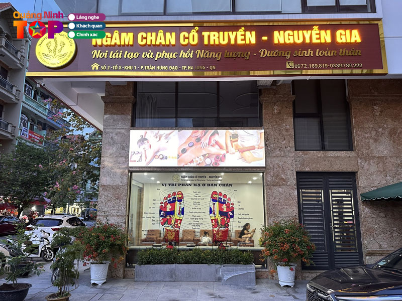 Duong-sinh-nguyen-gia-quangninhtoplist