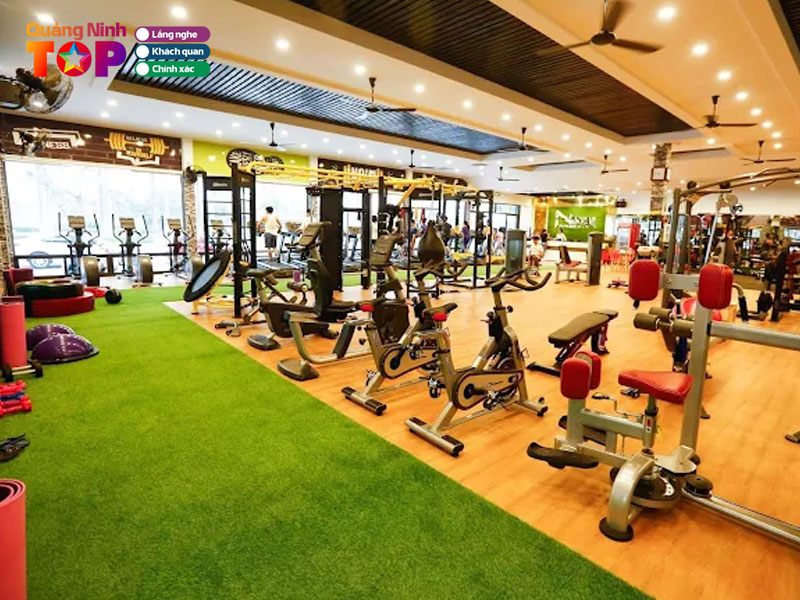 Newstar-fitness-yoga-center-quangninhtoplist