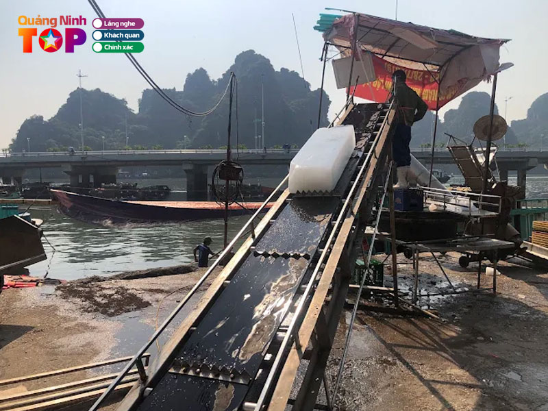 Cong-ty-co-phan-xnk-thuy-san-quang-ninh-quangninhtoplist