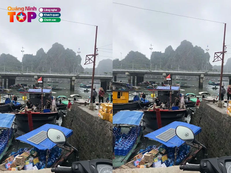 Cong-ty-co-phan-xnk-thuy-san-quang-ninh2-quangninhtoplist
