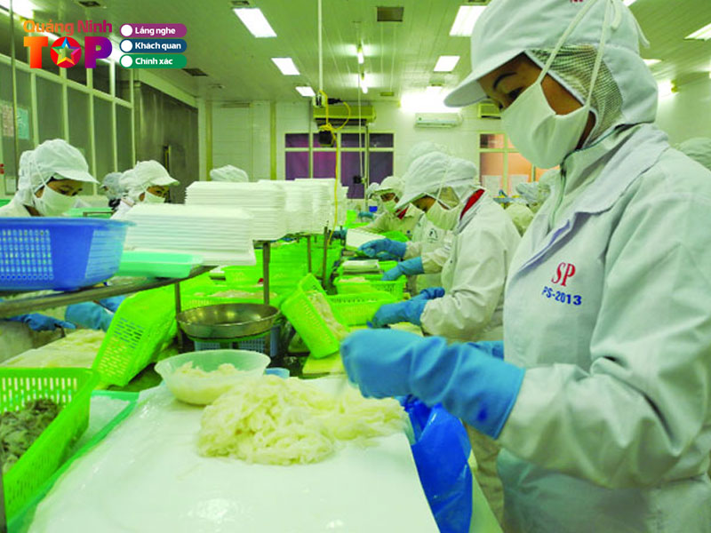 Cong-ty-co-phan-xnk-thuy-san-quang-ninh3-quangninhtoplist