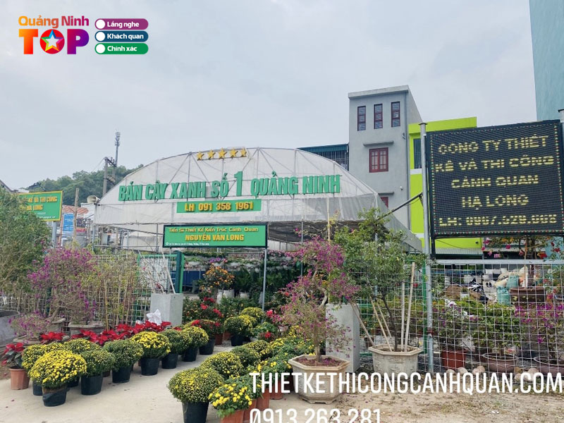 Cong-ty-thiet-ke-thi-cong-canh-quan-ha-long-quangninhtoplist
