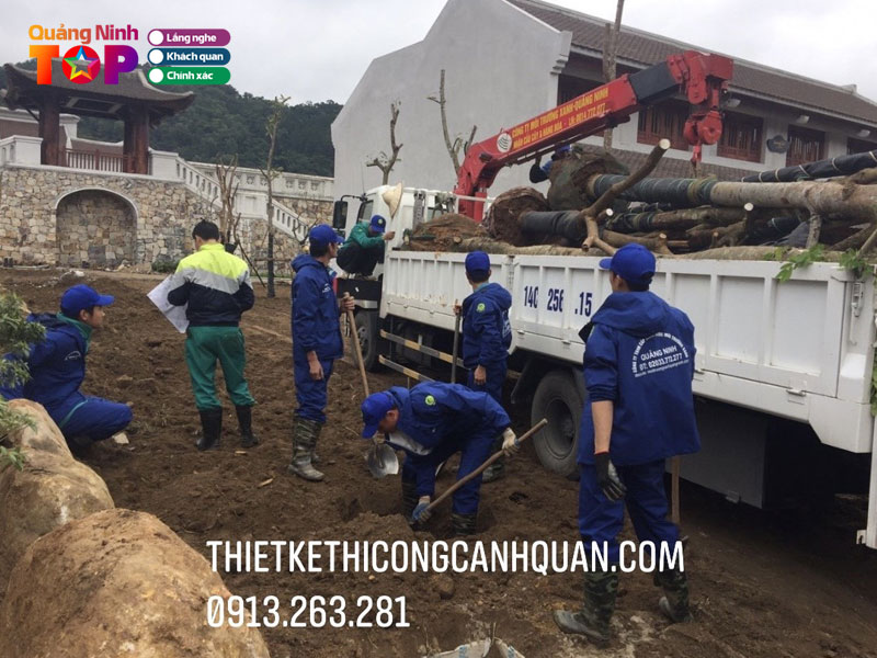 Cong-ty-thiet-ke-thi-cong-canh-quan-ha-long2-quangninhtoplist