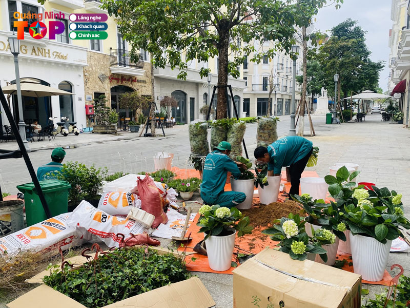 Cong-ty-thiet-ke-thi-cong-canh-quan-ha-long3-quangninhtoplist