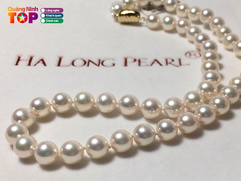 Cong-ty-co-phan-ngoc-trai-ha-long-ha-long-pearl-jsc1-quangninhtoplist