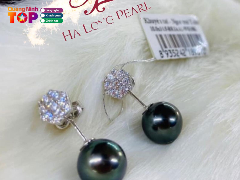 Cong-ty-co-phan-ngoc-trai-ha-long-ha-long-pearl-jsc3-quangninhtoplist