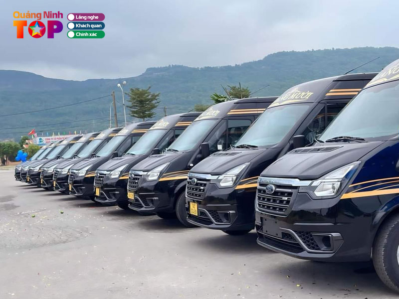 Cong-ty-tnhh-thuong-mai-van-tai-quang-muoi1-quangninhtoplist