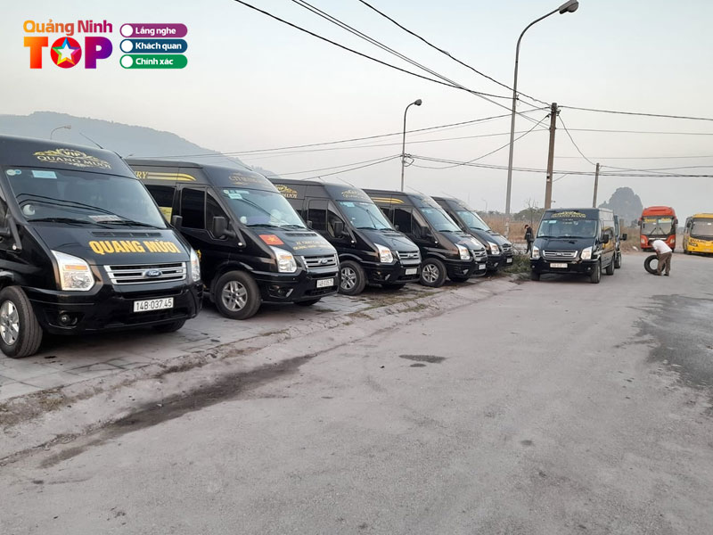 Cong-ty-tnhh-thuong-mai-van-tai-quang-muoi2-quangninhtoplist