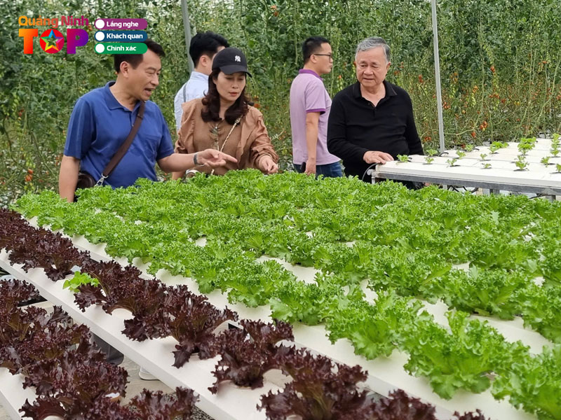 Cong-ty-co-phan-dau-tu-va-xay-dung-viet-long2-quangninhtoplist
