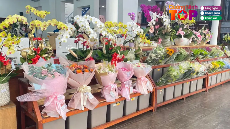 Huong-dan-lua-chon-va-meo-trai-nghiem-hoa-tuoi-tu-dan-ban-dia-quangninhtoplist