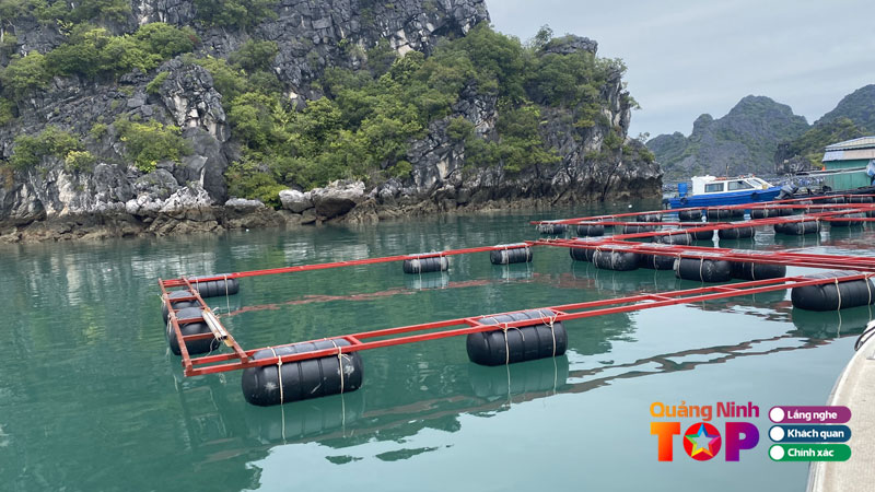 Cong-ty-co-phan-nhua-hbc3-quangninhtoplist