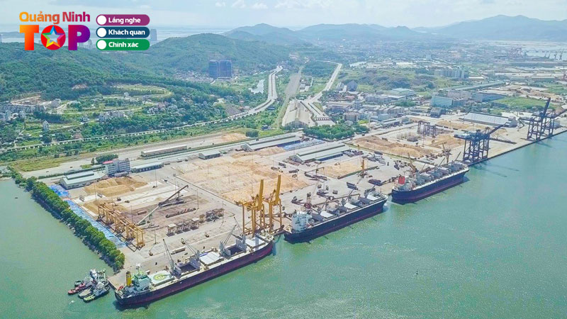 Quang-ninh-port-jsc-cong-ty-co-phan-cang-quang-ninh-quangninhtoplist