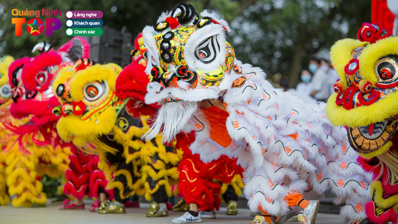 Top-5-Don-Vi-Mua-Lan-O-Quang-Ninh-Noi-Tieng-Uy-Tin-Quangninhtoplist